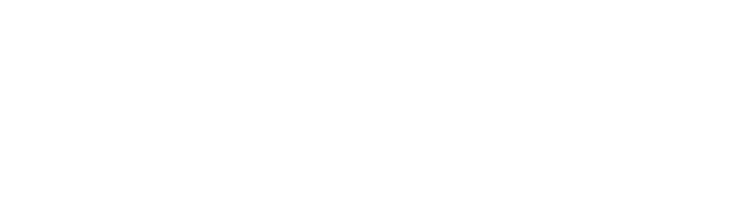 TGN- Tóc Giả Nam Chính Hiệu